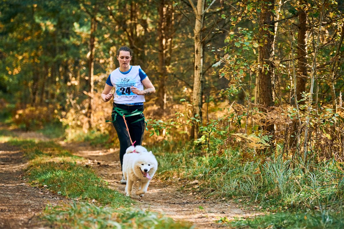 10 Doggie Fun Runs