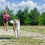 Are There Dog-Friendly Marathons Everything You Need To Know