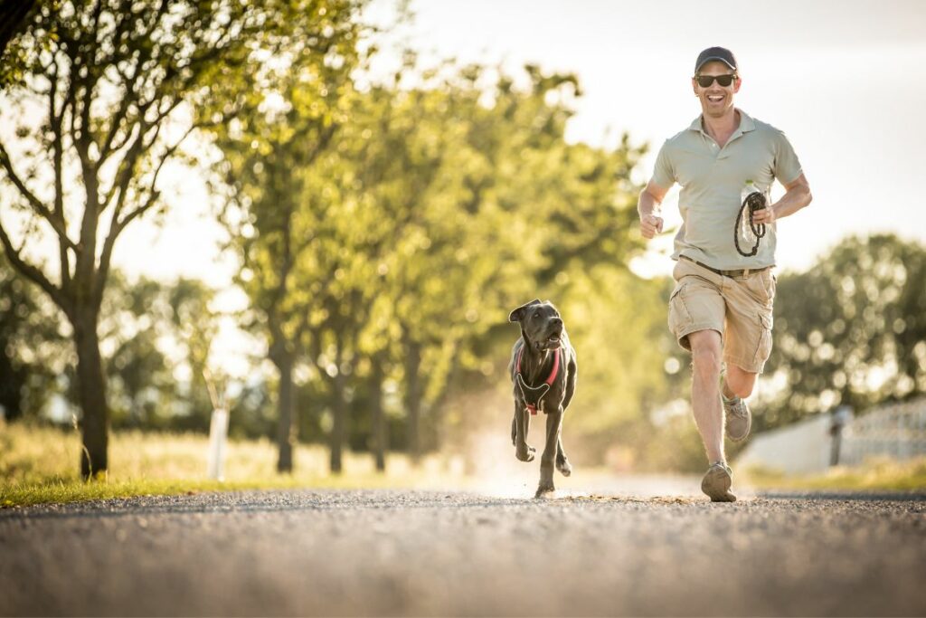 Can You Run With A Dog? [Top Tips For Active Dog Owners] - Borgess Run