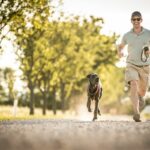 Can You Run With A Dog? [Top Tips For Active Dog Owners]