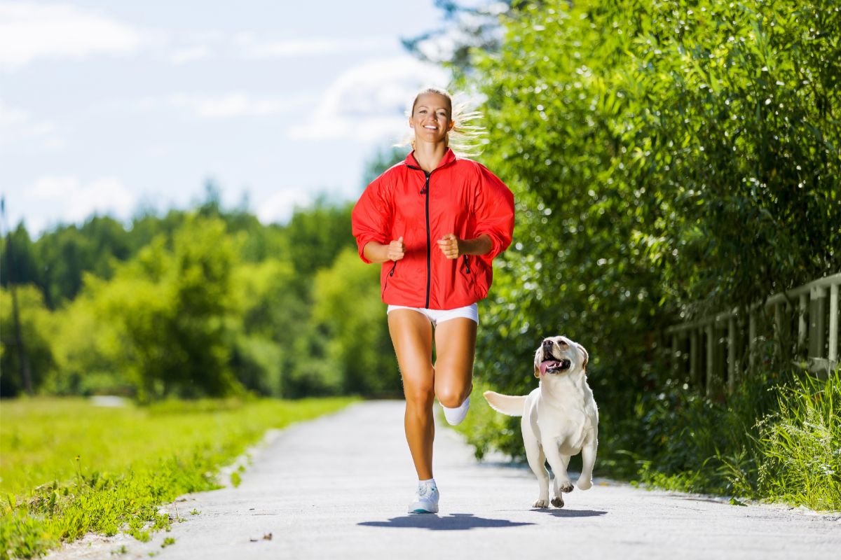 Can dogs run faster than humans (Running With Your Furry Friend)